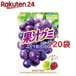 果汁グミ ぶどう(54g*120袋セット)【果汁グミ】