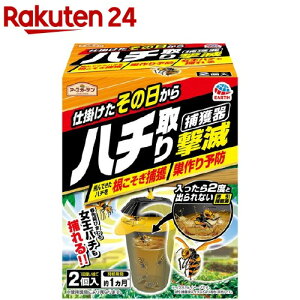 A[XK[f n`茂 ߊl^Cv(2)yb00czyA[XK[fz