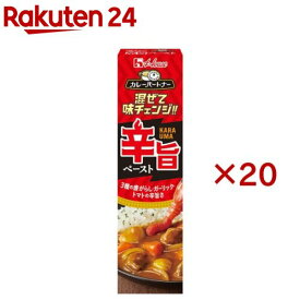 カレーパートナー 辛旨ペースト(40g×20セット)【カレーパートナー】