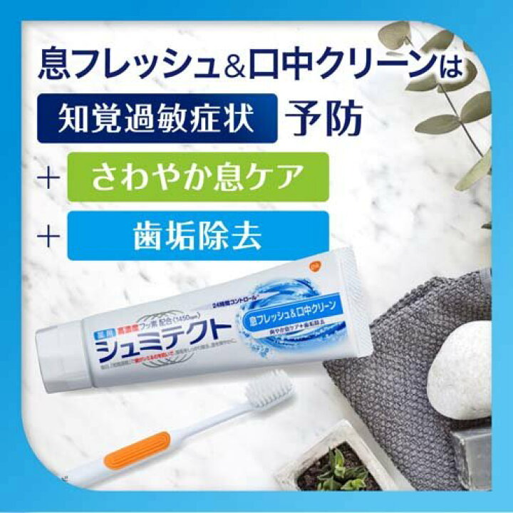 楽天市場 シュミテクト フレッシュ クリーン 歯磨き粉 高濃度フッ素配合 1450ppm 90g 3本セット シュミテクト 楽天24