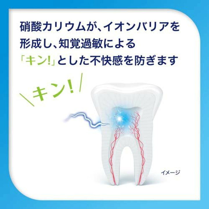 楽天市場 シュミテクト フレッシュ クリーン 歯磨き粉 高濃度フッ素配合 1450ppm 90g 3本セット シュミテクト 楽天24