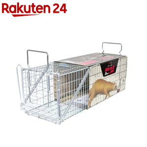 hqY ߊl Dtype NO.202 IT-2 C^`(IX)p(1)yhqYz