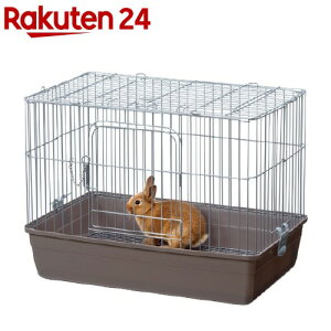 }J Ɏ郊rO[ LTCY( 1)