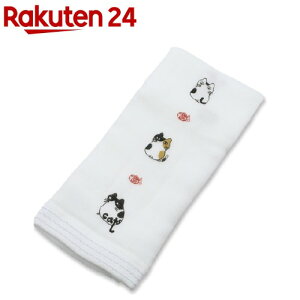 Y tFCX^I ͂ K[[ ɂ u[(1)