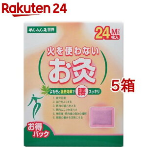 ˂ E ΂gȂ M(24*5Zbg)y˂񋄁z