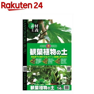 SUNBELLEX S ϗtA̓y(14L)ySUNBELLEXz