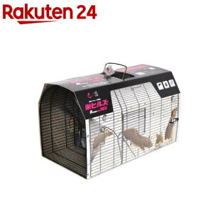 hqY lY~߂Atype NO.103 NZ-3(1)yhqYz