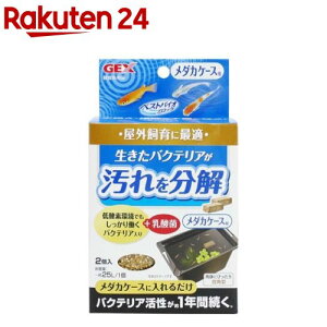 xXgoCIubN _JP[Xp(2)y_JCz