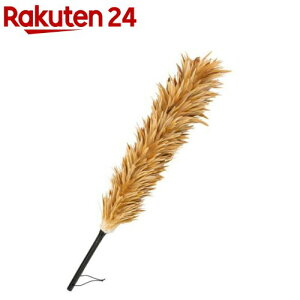 ʌ̕ т΂ { S85cm(1{)