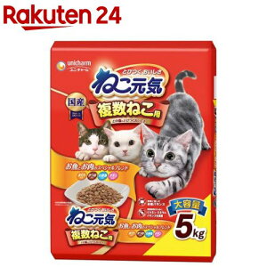 �˂����C �����˂��p �����Ƃ����̃X�y�V�����u�����h(5kg)�y1909_pf01�z�y�˂����C�z[�L���b�g�t�[�h]