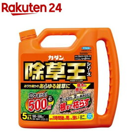 カダン 除草王 ザッソージエース(5L)【除草王】