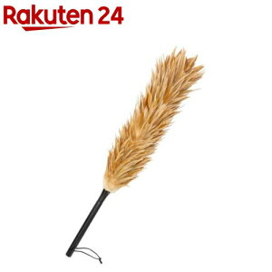 ʌ̕ т΂ { S65cm(1{)