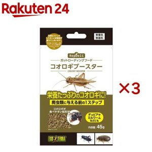 RepDeli RIMu[X^[(45g×3Zbg)yGL]ez