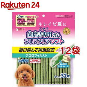 TCY S̎pK uXNA\tg NtB S(32{*12܃Zbg)ySz