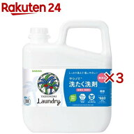 ヤシノミ洗たく洗剤 濃縮タイプ(5kg×3セット)【ヤシノミ洗剤】