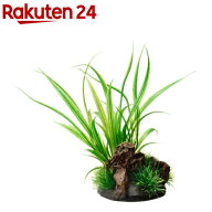 癒し水景 アクアキャンバス シペルス(1個)【癒し水景】