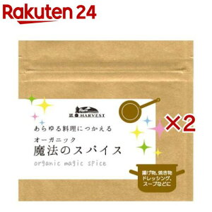 I[KjbN@̃XpCX(25g×2Zbg)