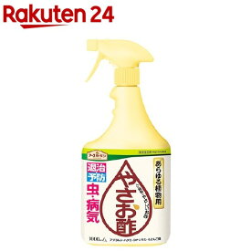 楽天市場 うどんこ病 殺菌剤の通販