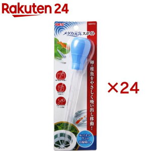 WFbNX _JC X|Cg(24Zbg)yGEX(WFbNX)z