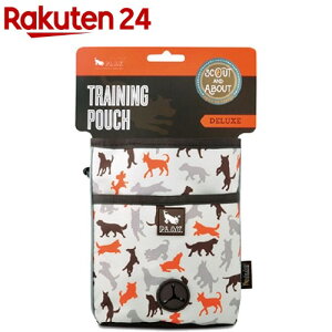 vC(PLAY) SA g[jO|[` fbNX oj(1R)yvC(P.L.A.Y)z