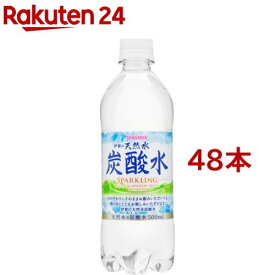 伊賀の天然水炭酸水(スパークリング)(500ml*48本セット)【サンガリア 天然水炭酸水】