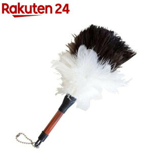 ~jт΂ I[Xgb`{ S21cm(1{)yGXL[z