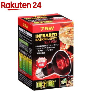 GL]e q[gO[ ԊOƎ˃X|bgv 75W PT2142(1R)yGL]ez