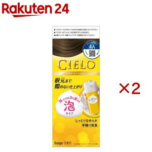 VG [XJ[ 4A AbVuE(2Zbg)yVG(CIELO)z