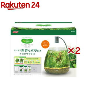 MeGreen VNȐt OXANA eBA[Zbg(2Zbg)