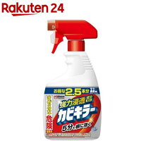 カビキラー 特大サイズ 本体(1000g)【カビキラー】