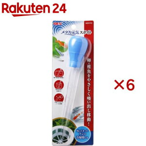 WFbNX _JC X|Cg(6Zbg)yGEX(WFbNX)z