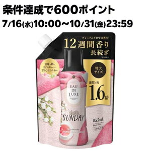 レノア オードリュクス 香り付け専用ビーズ マインドフルネス サンデー 詰め替え 特大(855ml)【レノア オードリュクス】