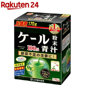 山本漢方 ケール粉末100％(170g)【山本漢方 青汁】