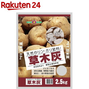 SUNBELLEX ؊D(2.5kg)ySUNBELLEXz