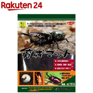 琬}bg(10L)y100ycppz