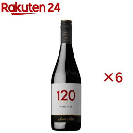 サンタリタ シェイントペインテ120 ピノノワール(750ml×6セット)
