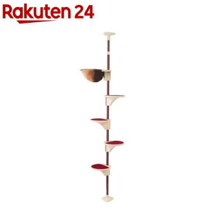 LeB[} NekorO LeB[|[nbN(1)yLeB[}z