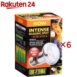 GL]e TO[ ^Cgr[oXLOX|bgv 50W PT2135(6Zbg)yGL]ez