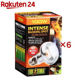 GL]e TO[ ^Cgr[oXLOX|bgv 100W PT2138(6Zbg)yGL]ez