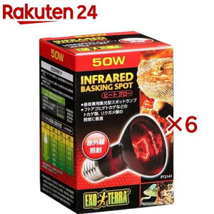 GL]e q[gO[ ԊOƎ˃X|bgv 50W PT2141(6Zbg)yGL]ez