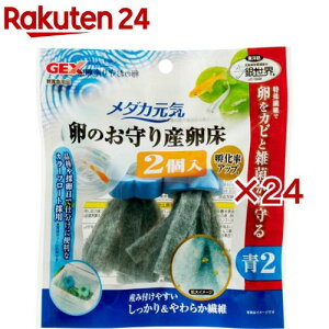 _JC ̂Y (2×24Zbg)y_JCz