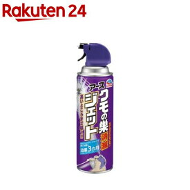 クモの巣 消滅ジェット(450ml)【アース】[くも 蜘蛛の巣 外壁 ベランダ 殺虫剤 駆除 スプレー]