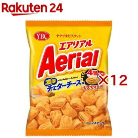 エアリアル 濃厚チェダーチーズ味(65g×12セット)
