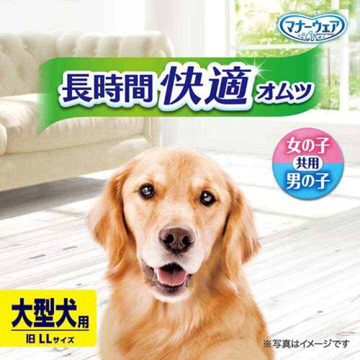 マナーウェア 長時間用オムツ 5枚入り 犬オムツ 犬トイレ Llサイズ オムツ