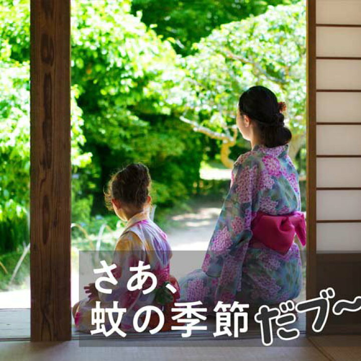 楽天市場 アースノーマット 蚊とり黒ブタ 60日セット 電子蚊取り器 蚊 駆除 1セット Inse 2 B00c アース ノーマット 楽天24 楽天市場 アースノーマット 蚊とり黒ブタ 60日セット 電子蚊取り器 蚊 駆除 1セット Inse 2 B00c アース ノーマット 楽天24