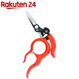 T{e ԂǂK nɍ No.B-2(1R)yT{ez