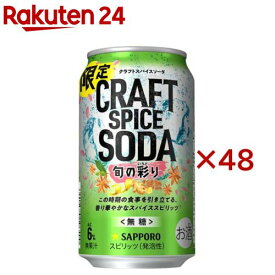 サッポロ クラフトスパイスソーダ 旬の彩り 缶(24本×2セット(1本350ml))