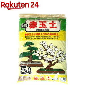 SUNBELLEX S ԋʓy (5L)ySUNBELLEXz