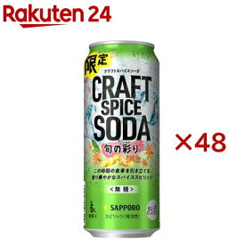 サッポロ クラフトスパイスソーダ 旬の彩り 缶(24本×2セット(1本500ml))