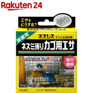 lYX lY~߂JSpGT(40g)ylYXz